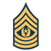 12 (CSM) Command Sergeant Major